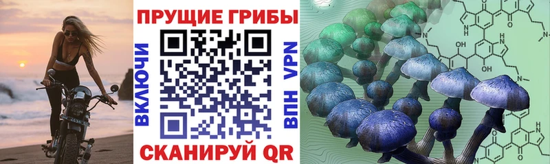 Галлюциногенные грибы ЛСД  blacksprut ссылка  Среднеуральск 